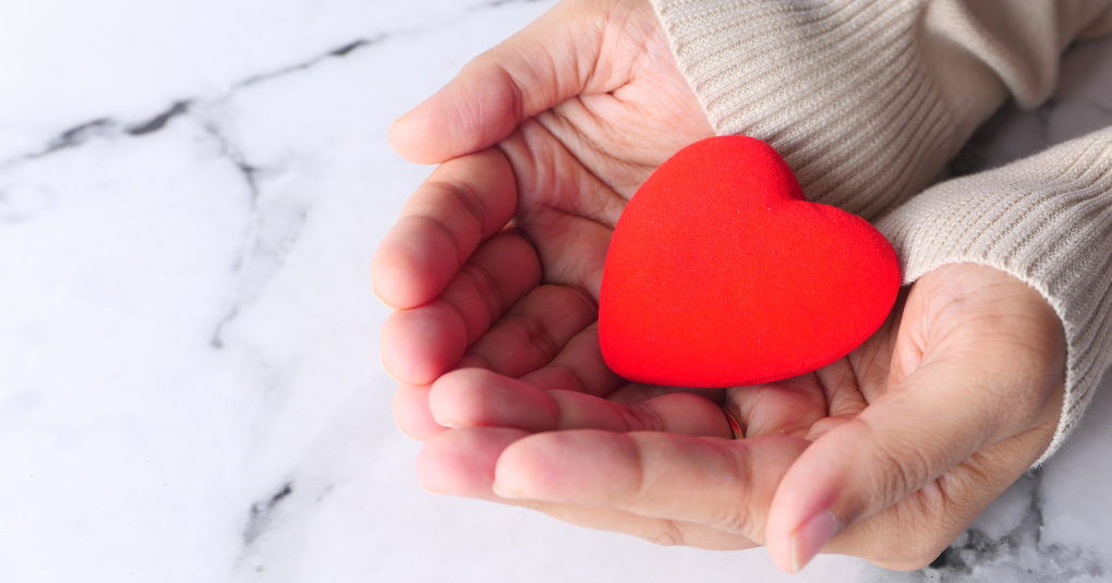 Hands holding foam heart.